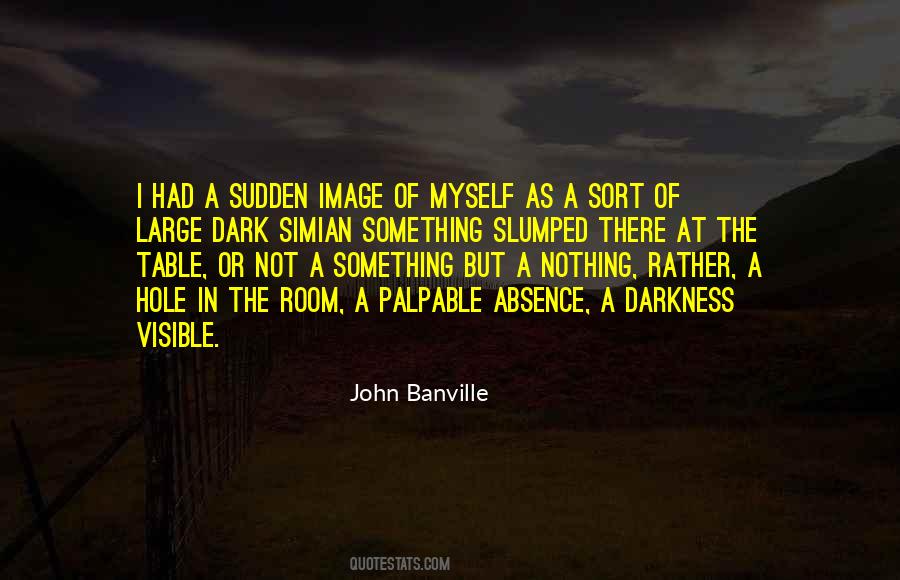 John Banville Quotes #479240