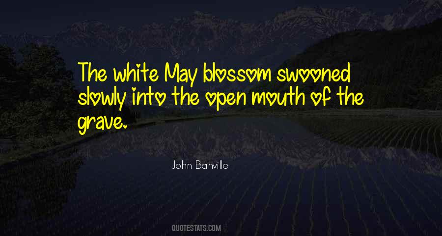 John Banville Quotes #739130