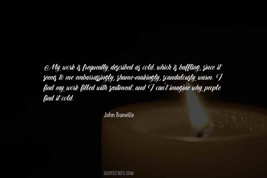 John Banville Quotes #743581