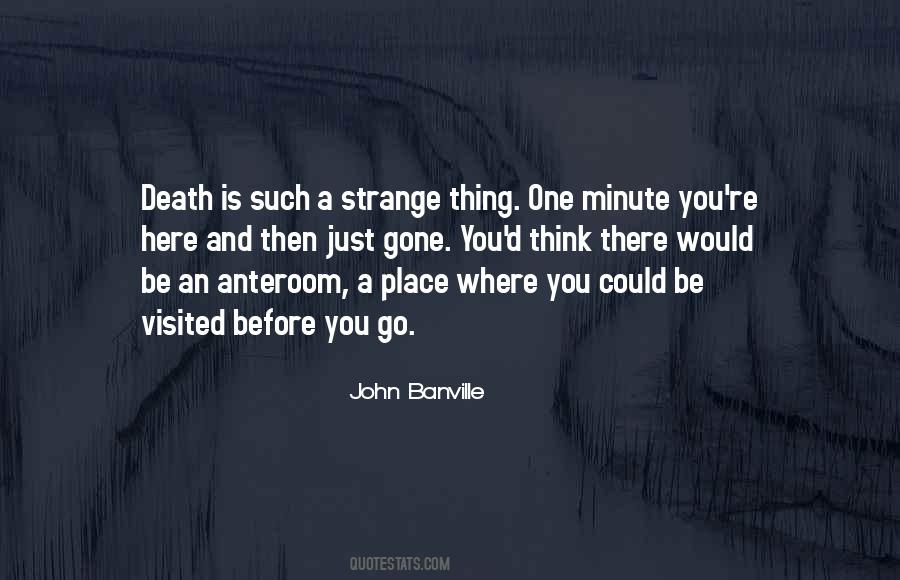 John Banville Quotes #969865