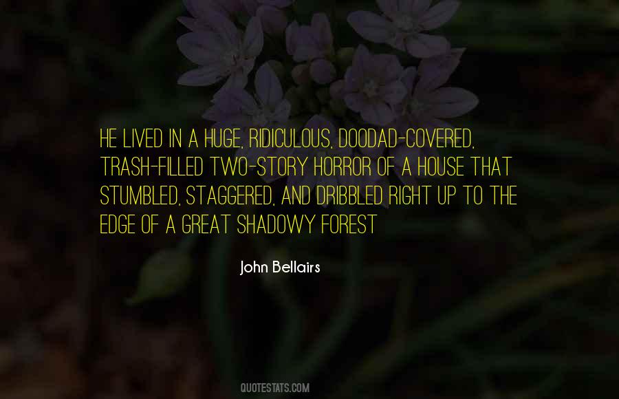 John Bellairs Quotes #1577293