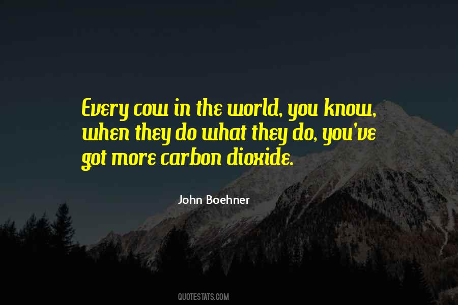John Boehner Quotes #35263