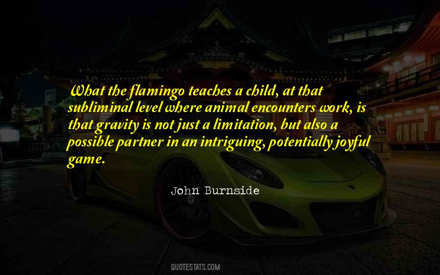 John Burnside Quotes #1540764