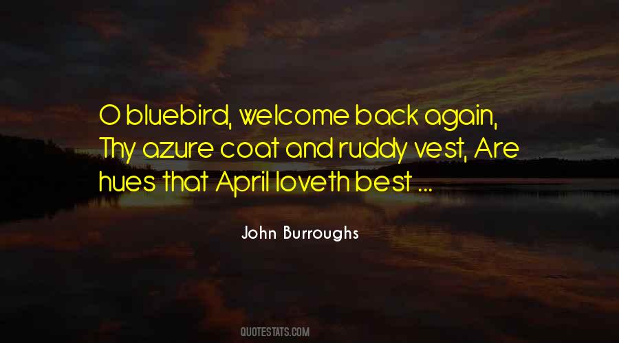 John Burroughs Quotes #1109385
