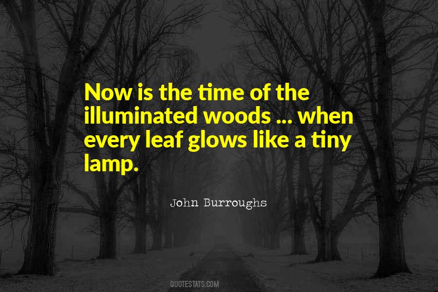 John Burroughs Quotes #1364173