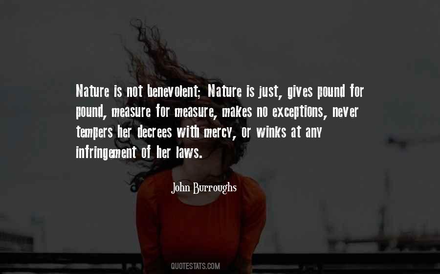 John Burroughs Quotes #139346