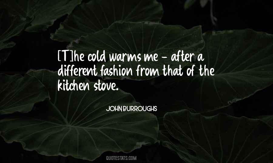 John Burroughs Quotes #1424470