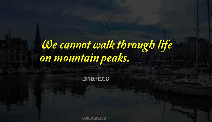 John Burroughs Quotes #1633233