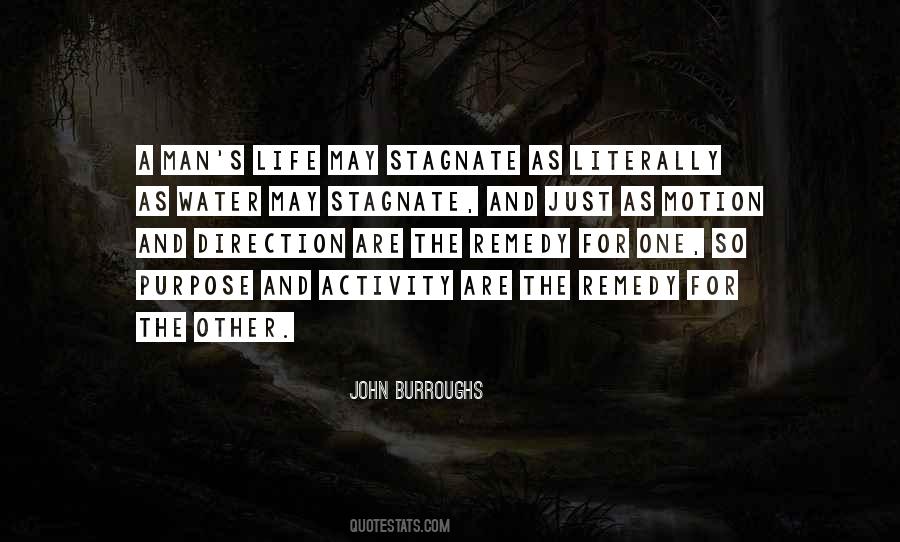 John Burroughs Quotes #1841182