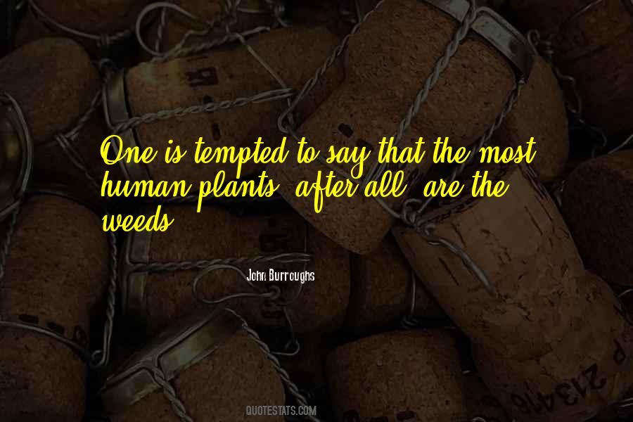 John Burroughs Quotes #482845