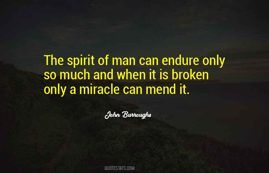 John Burroughs Quotes #613831