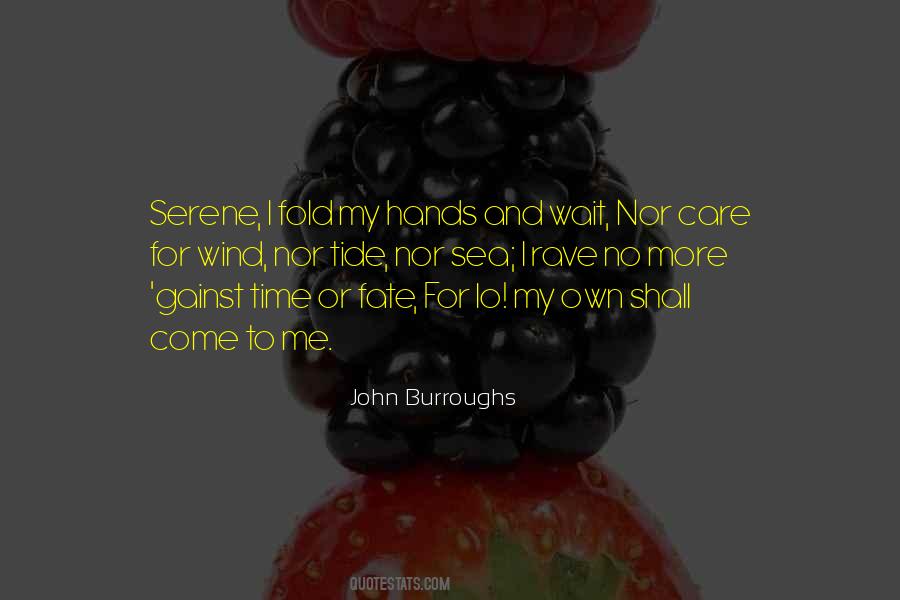 John Burroughs Quotes #773601