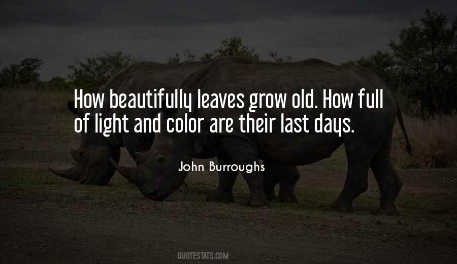 John Burroughs Quotes #90528