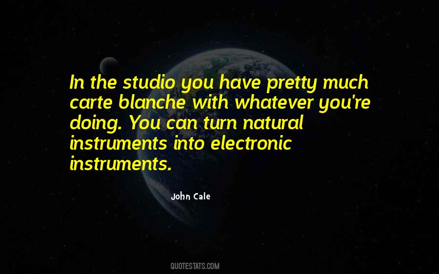 John Cale Quotes #1320495