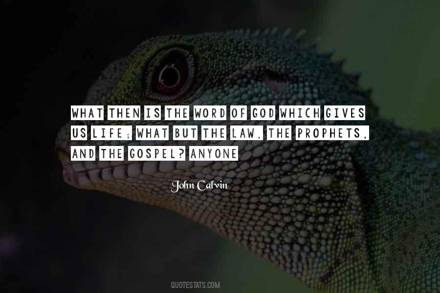 John Calvin Quotes #1103697