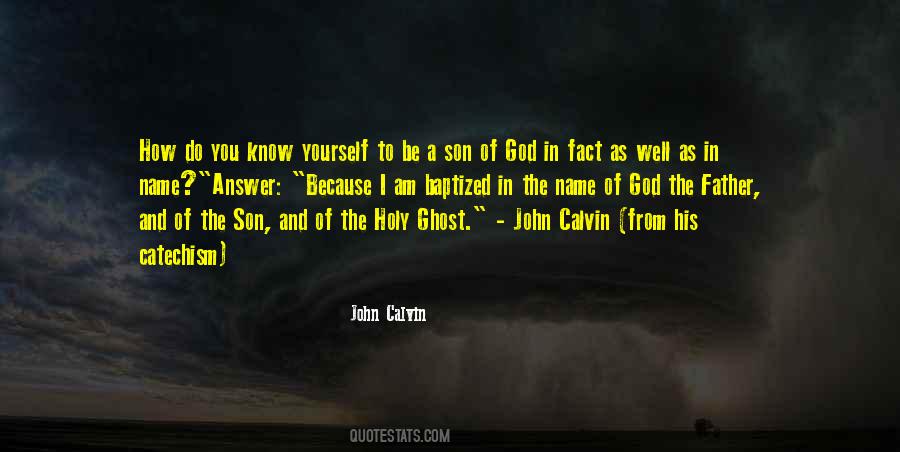 John Calvin Quotes #1238304