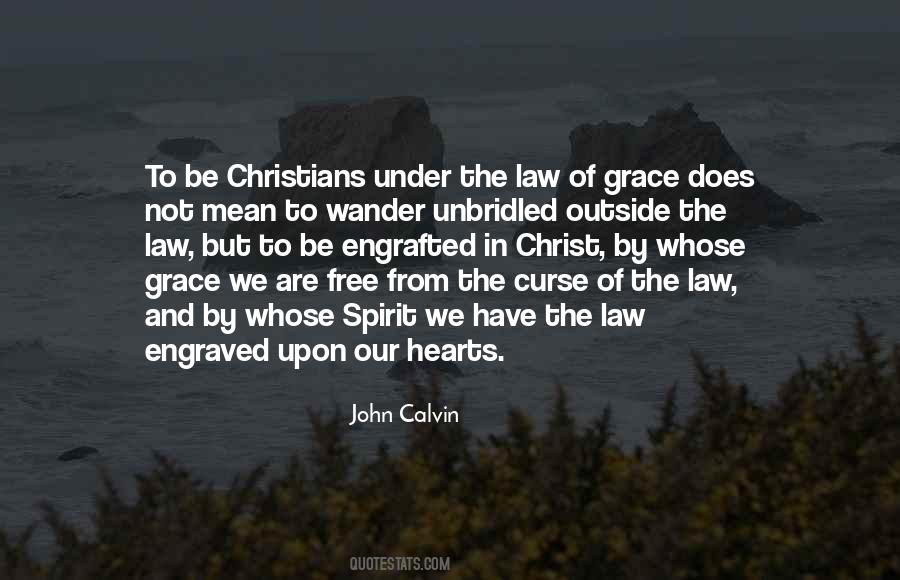 John Calvin Quotes #208661