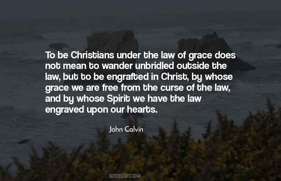 John Calvin Quotes #208661