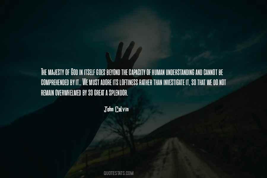 John Calvin Quotes #317667