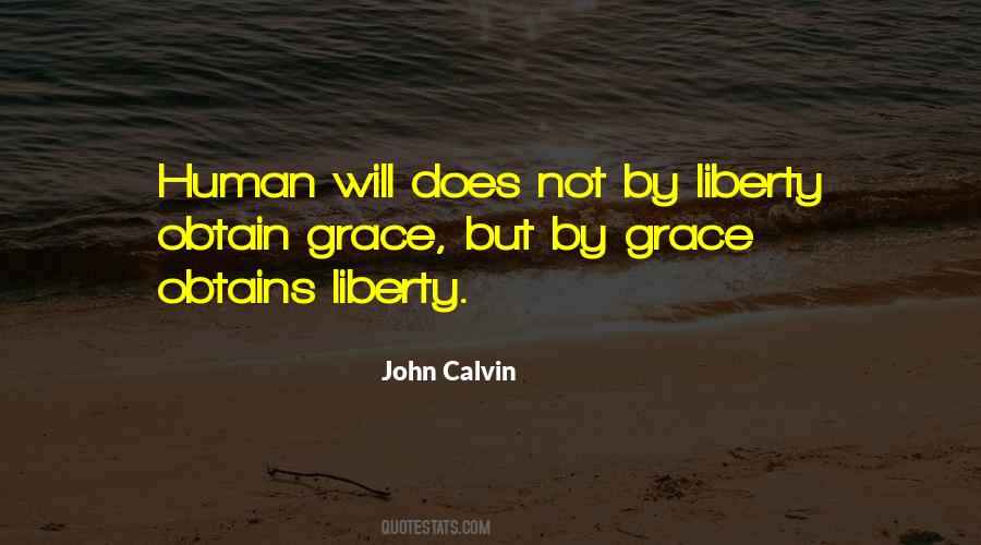 John Calvin Quotes #378004