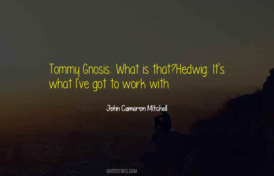 John Cameron Mitchell Quotes #74564