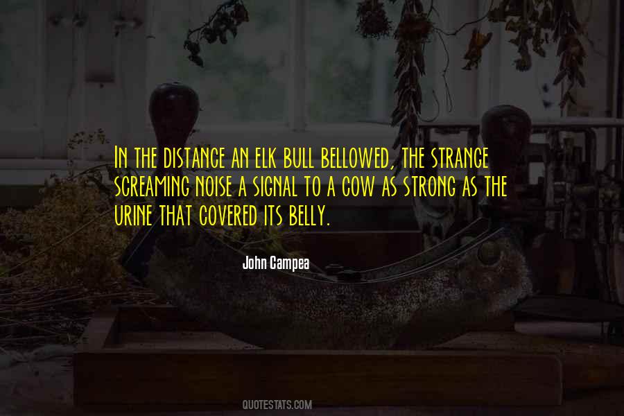 John Campea Quotes #1653340 John Campea Quotes #1653340
