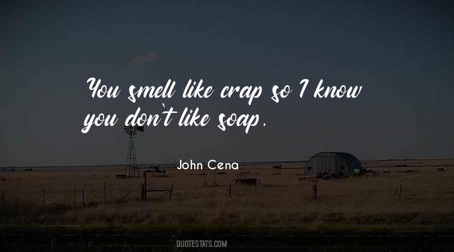 John Cena Quotes #671024