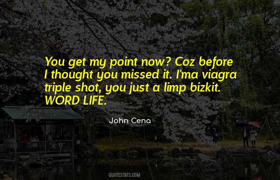 John Cena Quotes #837351