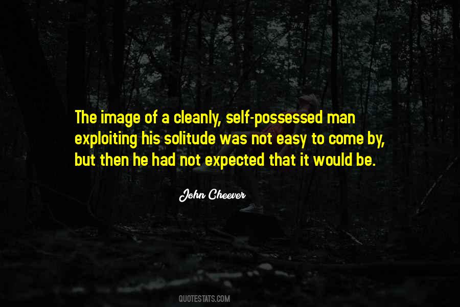 John Cheever Quotes #683480