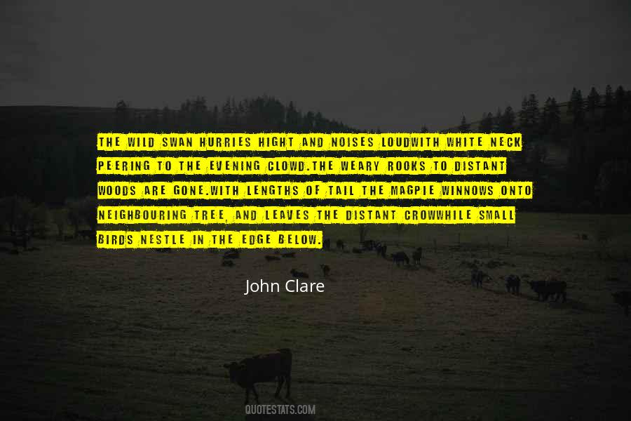 John Clare Quotes #349473