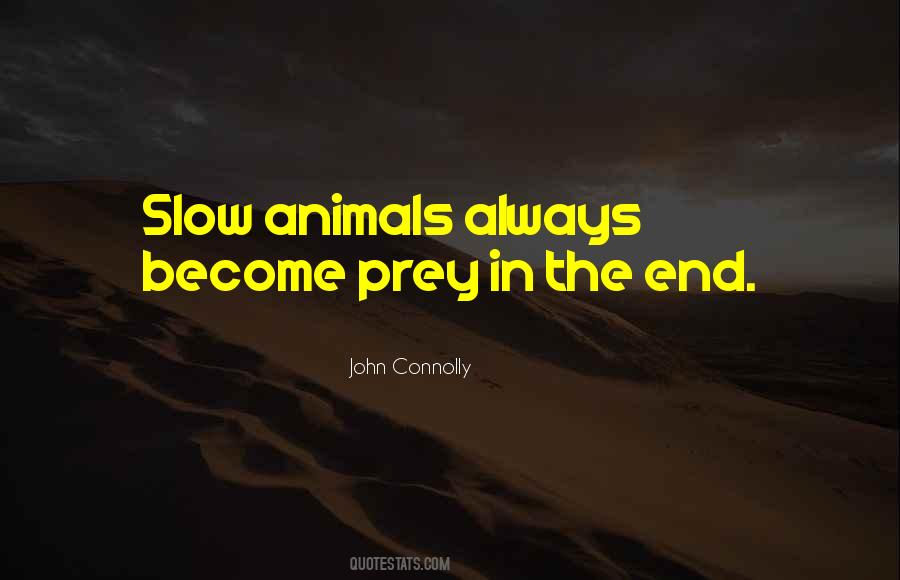 John Connolly Quotes #1606440