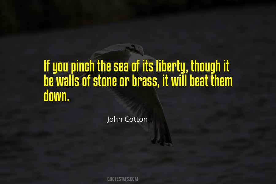 John Cotton Quotes #1681647