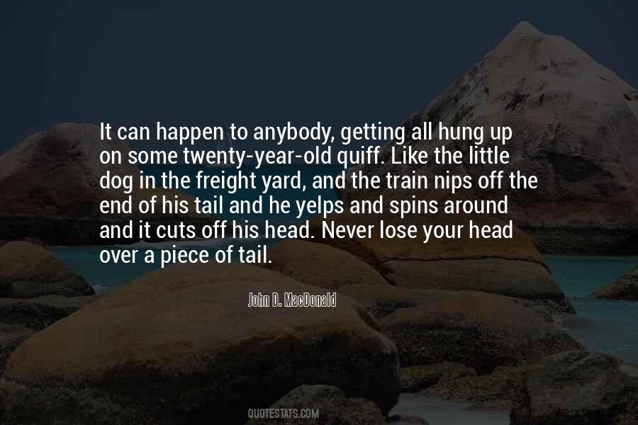 John D. MacDonald Quotes #665949