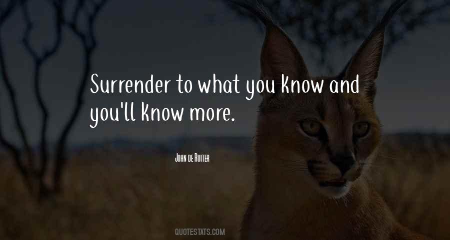 John De Ruiter Quotes #192172