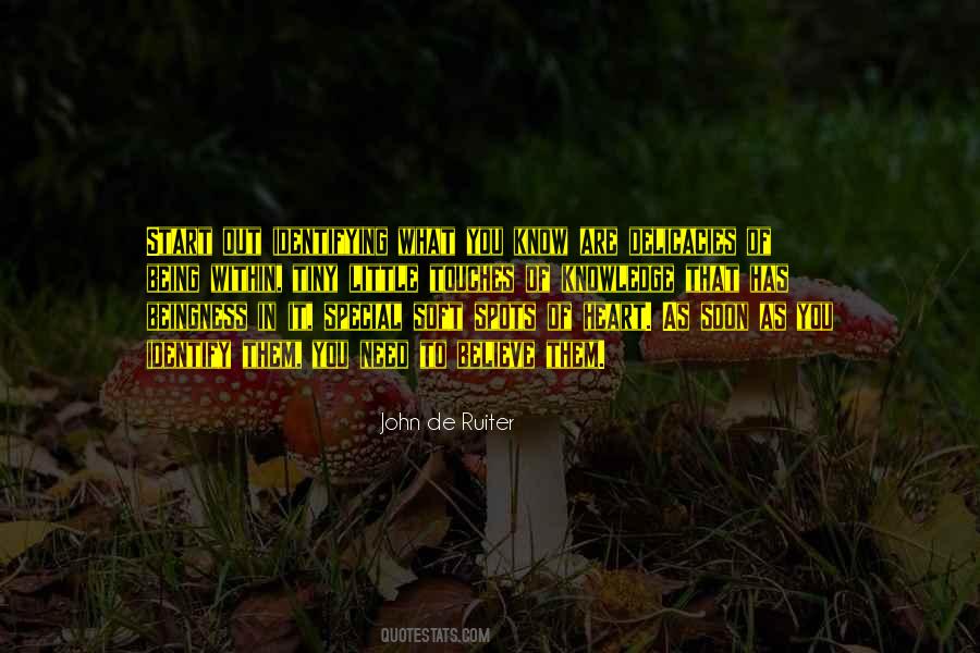 John De Ruiter Quotes #839193