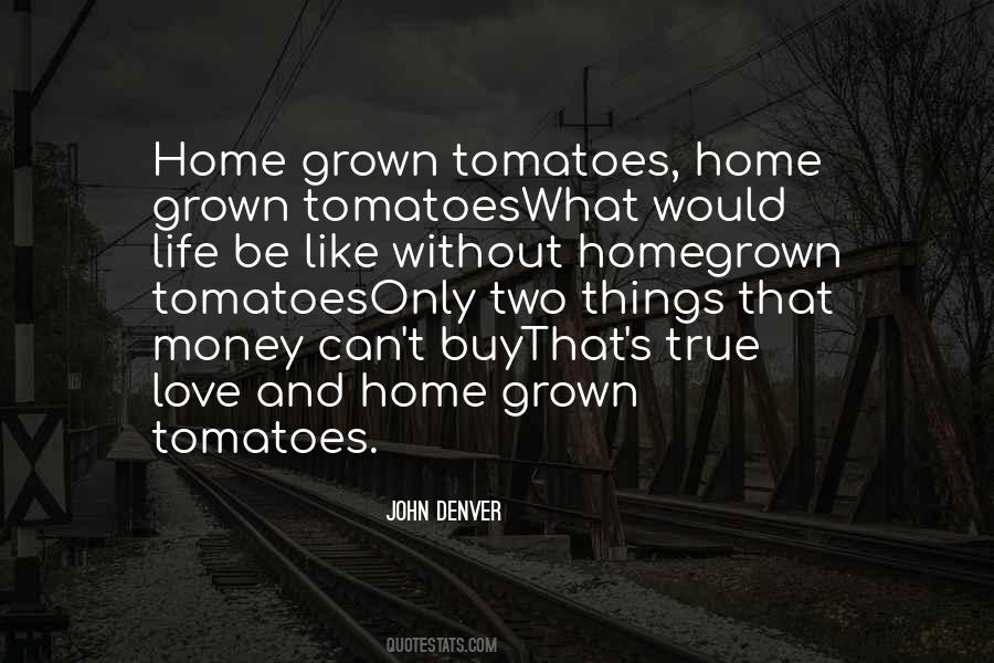 John Denver Quotes #695130