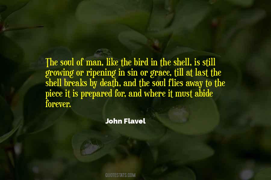 John Flavel Quotes #218771
