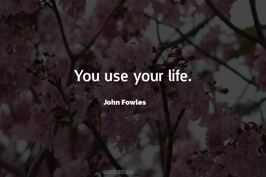 John Fowles Quotes #94057