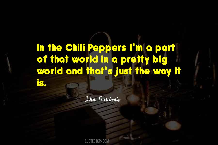 John Frusciante Quotes #1603958