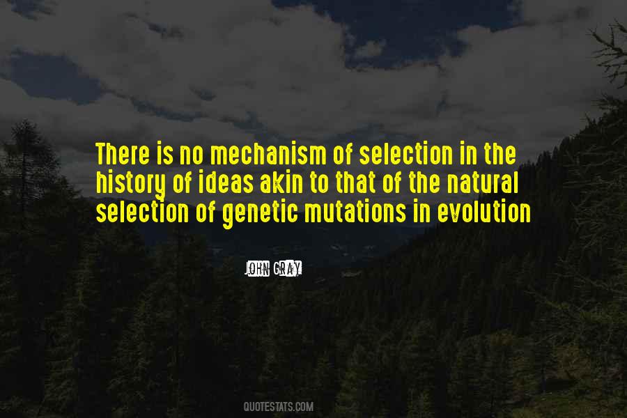 John Gray Quotes #1029300