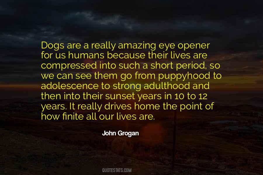 John Grogan Quotes #1860090