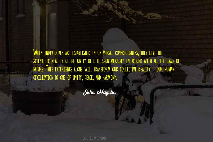 John Hagelin Quotes #1028257