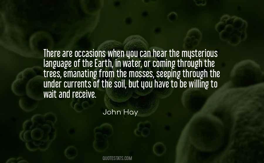 John Hay Quotes #51406