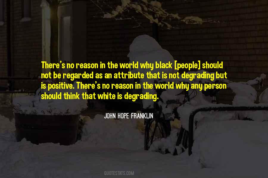 John Hope Franklin Quotes #1799131