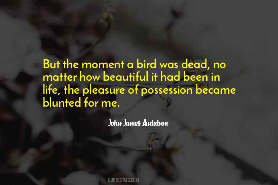 John James Audubon Quotes #1743302