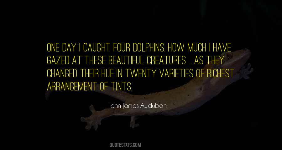 John James Audubon Quotes #371572