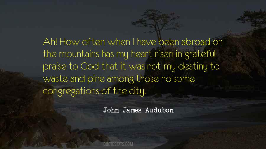 John James Audubon Quotes #96594
