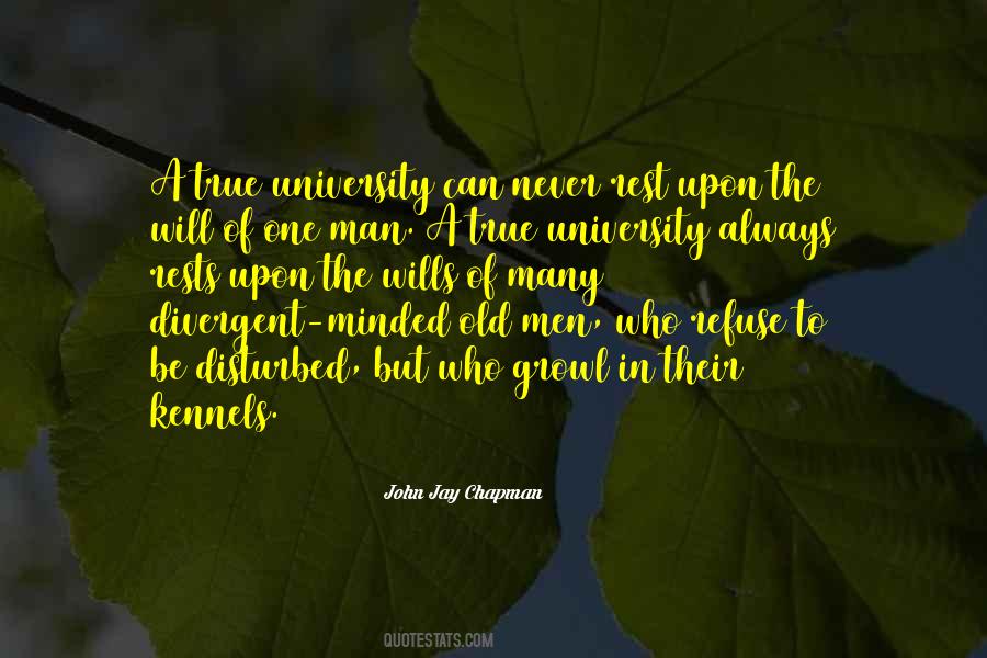 John Jay Chapman Quotes #1846873