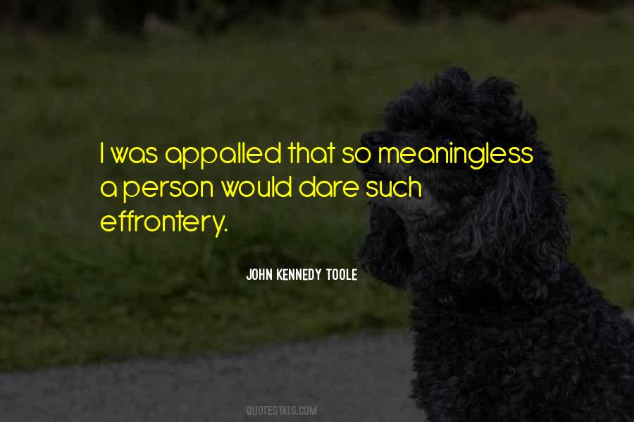 John Kennedy Toole Quotes #1277725