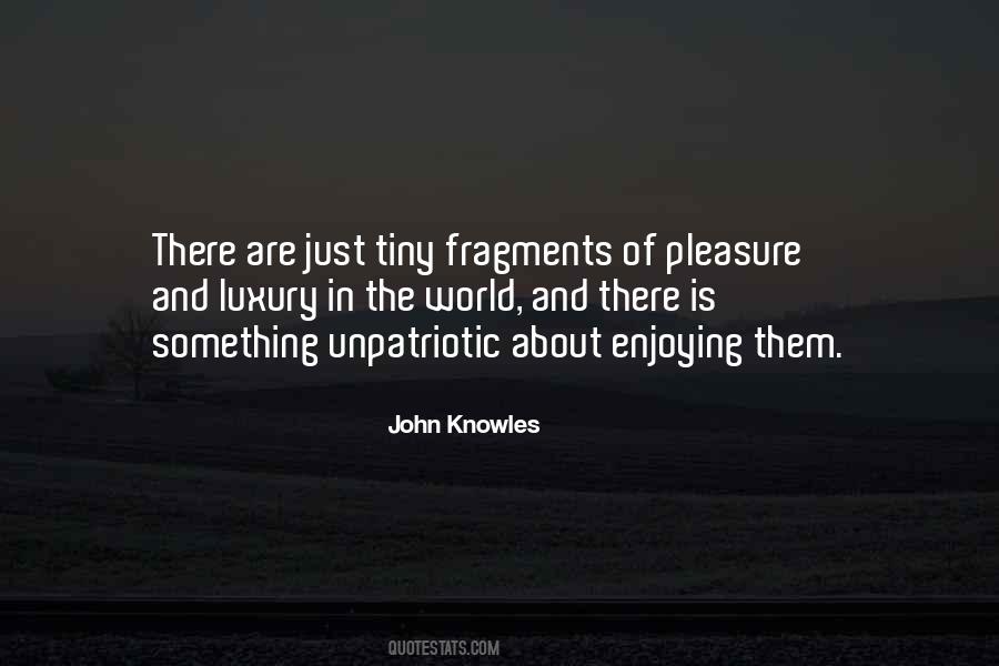 John Knowles Quotes #1159595